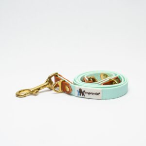 GUINZAGLIO CHARM