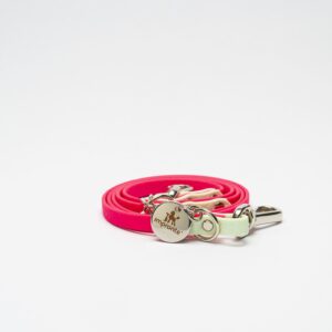 GUINZAGLIO CHARM