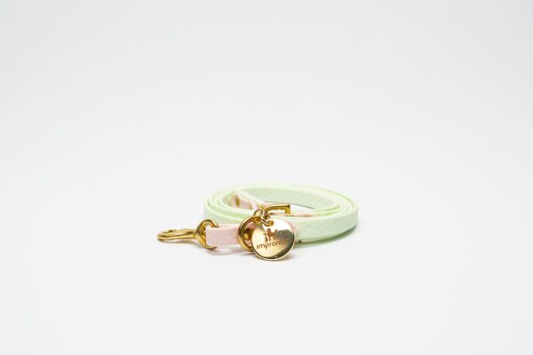 GUINZAGLIO CHARM