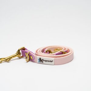 GUINZAGLIO CHARM