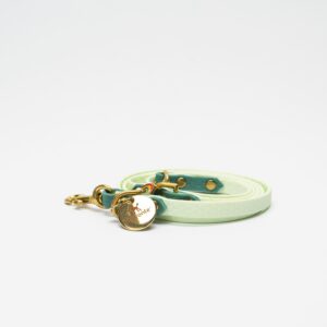 GUINZAGLIO CHARM