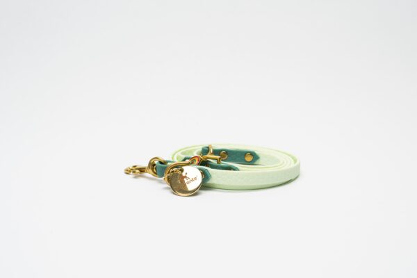 GUINZAGLIO CHARM