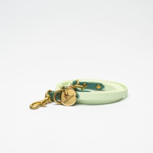 GUINZAGLIO CHARM