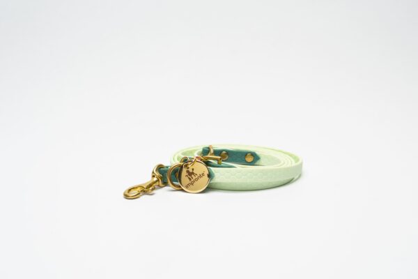 GUINZAGLIO CHARM