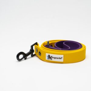 GUINZAGLIO RING