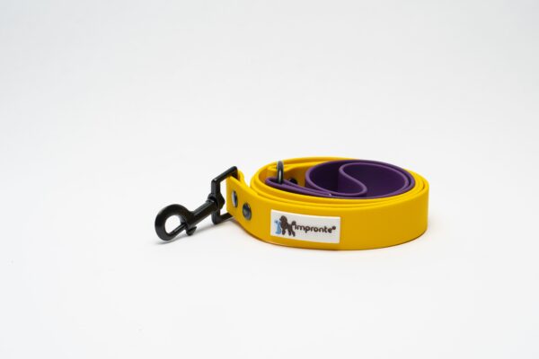 GUINZAGLIO RING