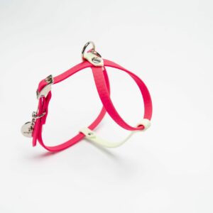 PETTORINA CHARM