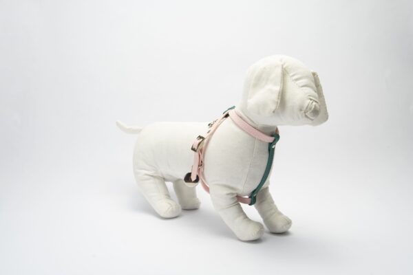 PETTORINA CHARM