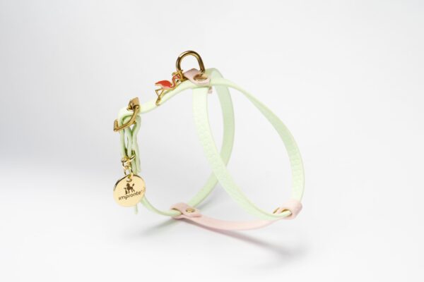 PETTORINA CHARM