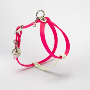 PETTORINA CHARM