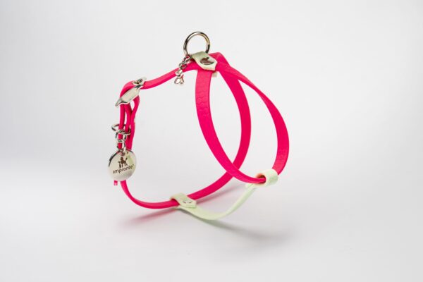 PETTORINA CHARM