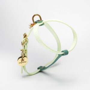 PETTORINA CHARM