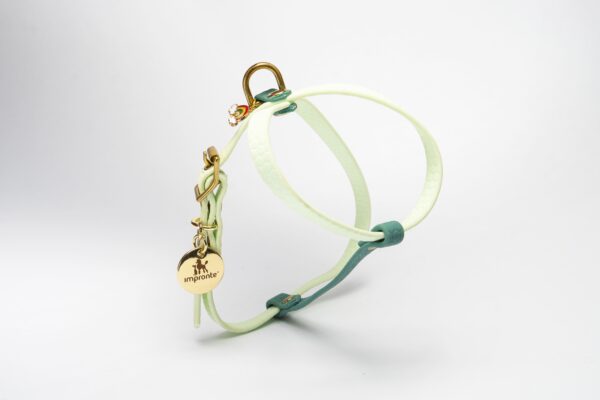 PETTORINA CHARM
