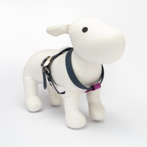 PETTORINA CHARM