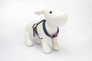 PETTORINA CHARM - immagine 2