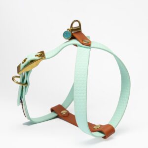 PETTORINA CHARM