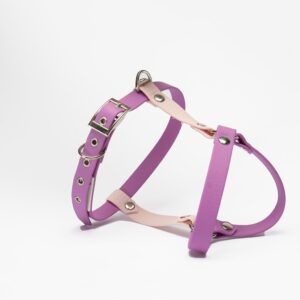 PETTORINA BASIC