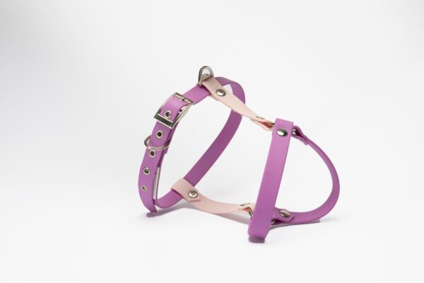 PETTORINA BASIC