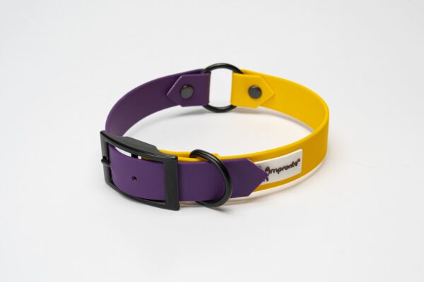 COLLARE RING